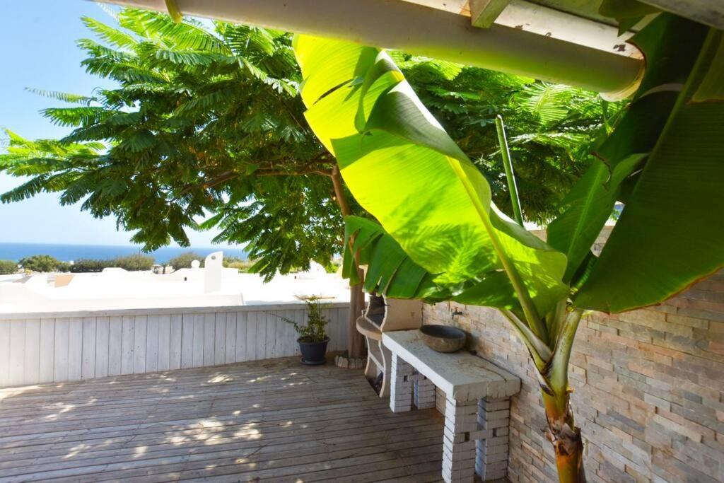 Book Jet - Costa Calma Blue Ocean Dream Terrace Apartamento Exterior foto